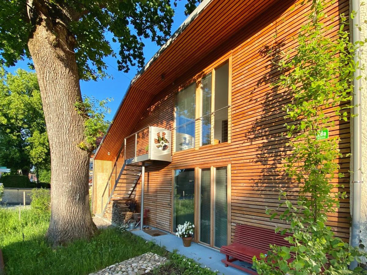 Apartamento Loft Mit Dachterrasse Bernau am Chiemsee Exterior foto
